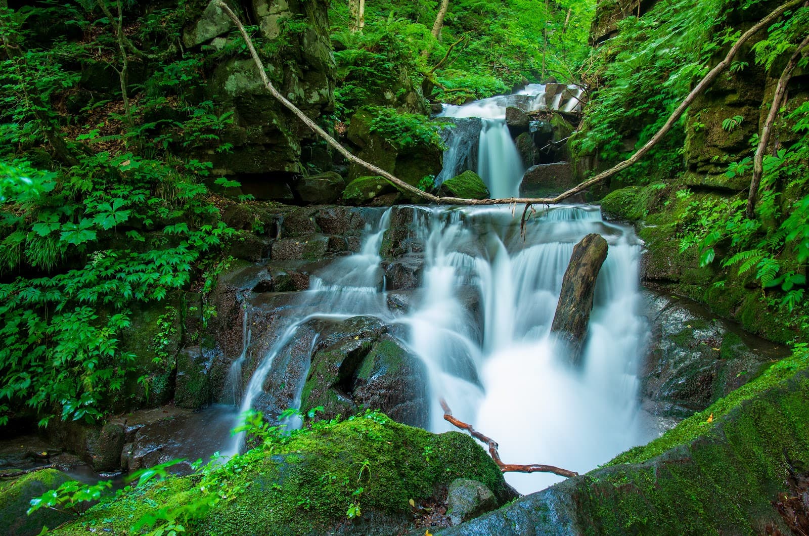 Walking Oirase Gorge: A Guide to Lake Towada's Caldera Trail