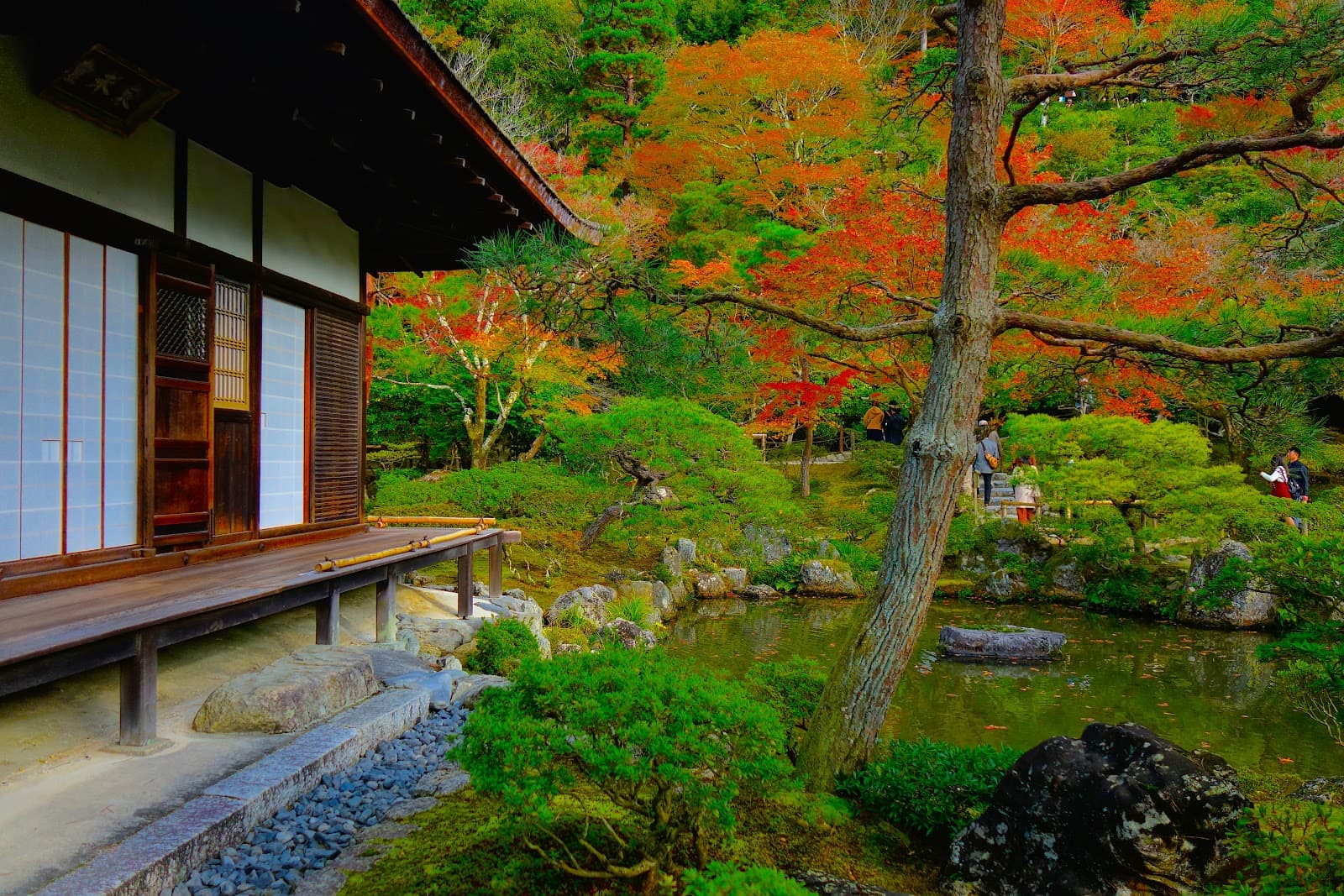 Two Weeks in Japan: How to Structure Your Perfect Itinerary