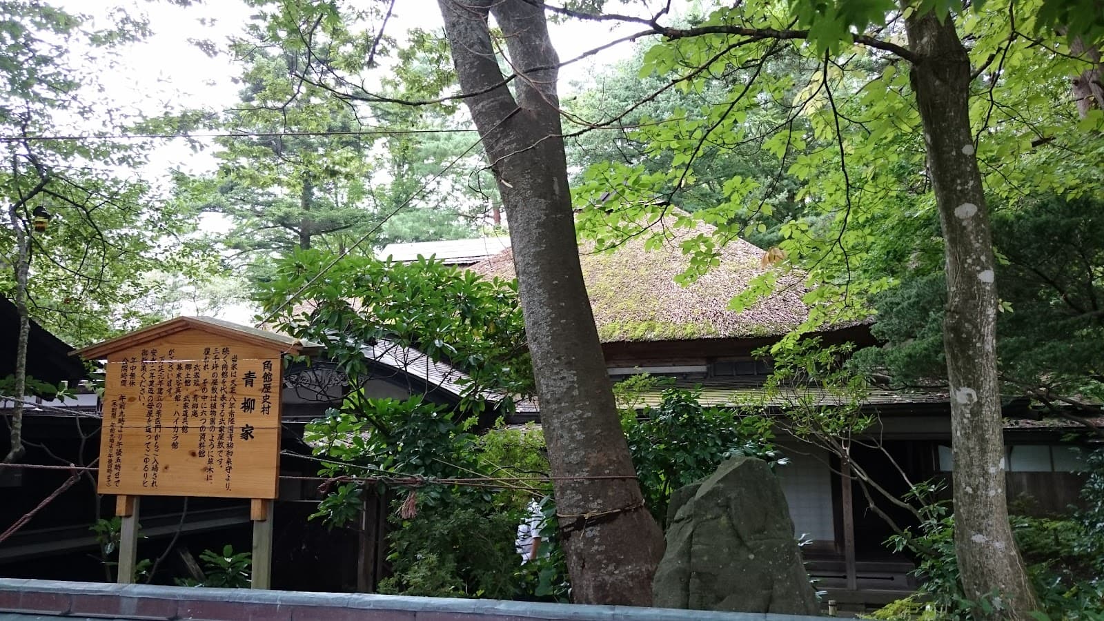 Kombini Food: The Honest Guide to Japanese Convenience Store Eating