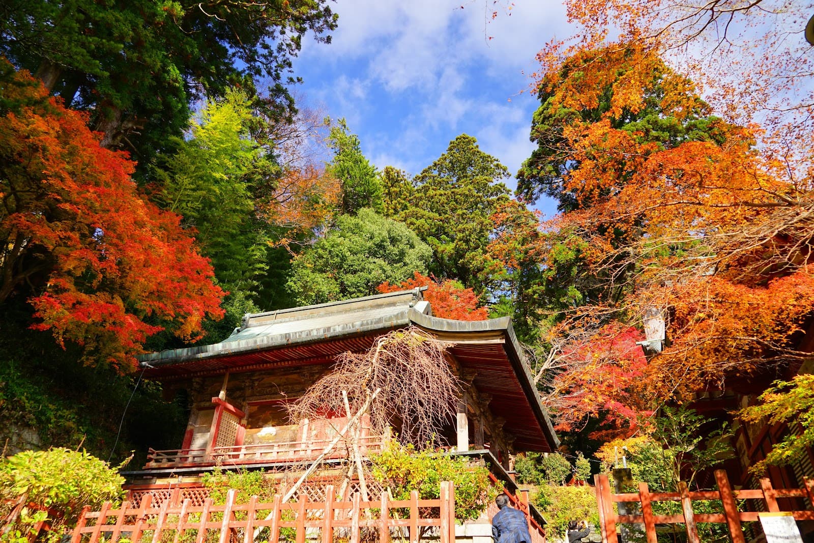 Why Staying Near Train Stations in Japan Changes Everything