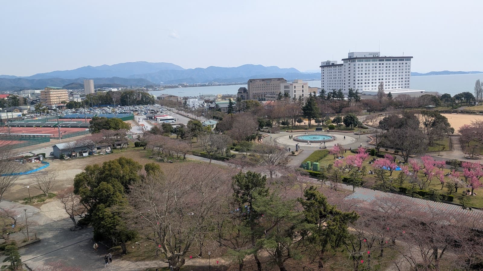 What to Buy in Japan: The Honest Guide by Category