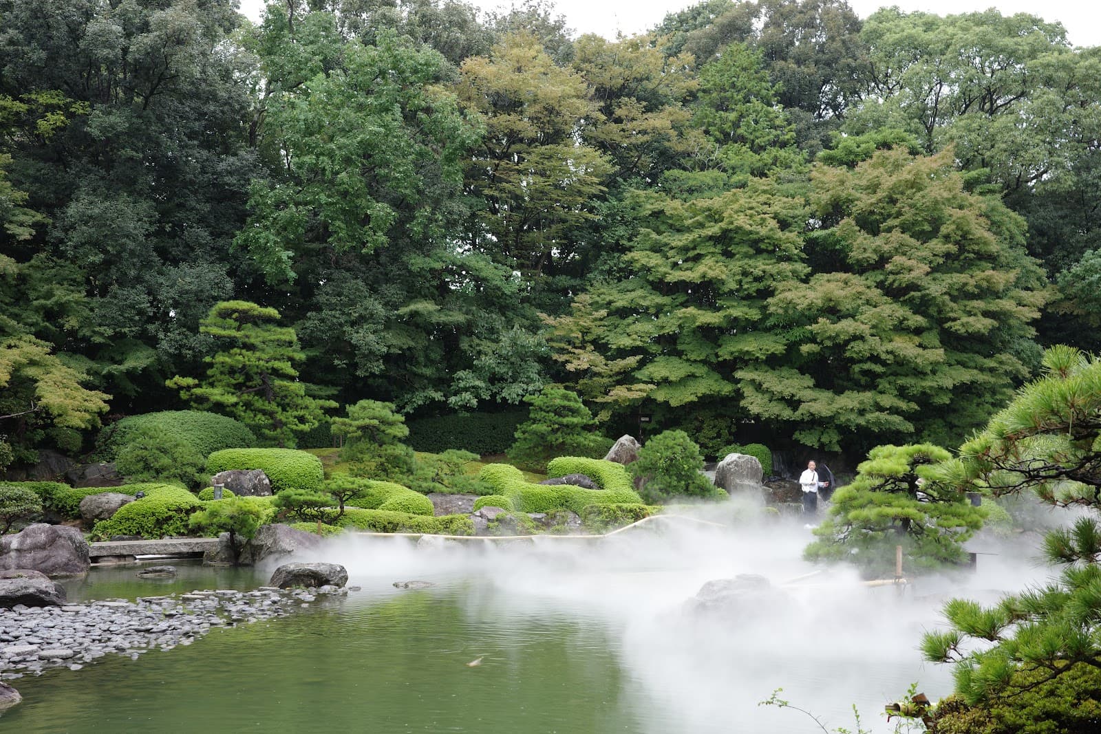 Japanese Drinks Guide: Beer, Sake, Shochu and Soft Drinks Explained