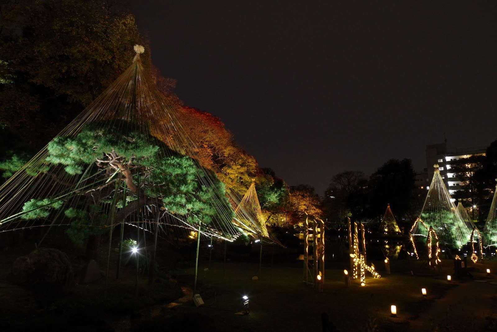 Kokedera (Moss Garden) in Kyoto: Why You Must Book in Advance
