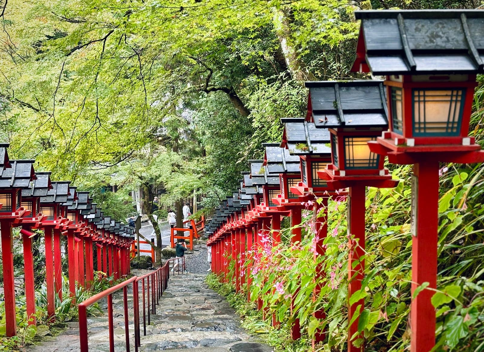 Japan's Most Accessible National Parks: A Complete Guide