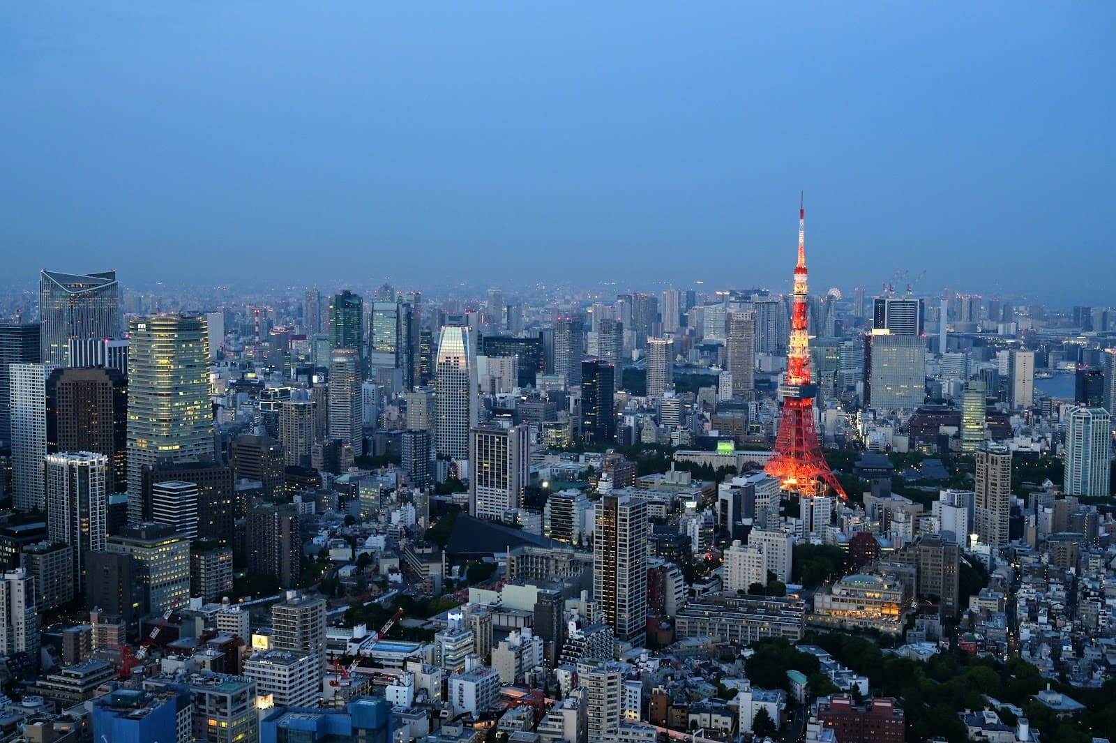 Tokyo for First-Time Visitors: What to Actually Expect