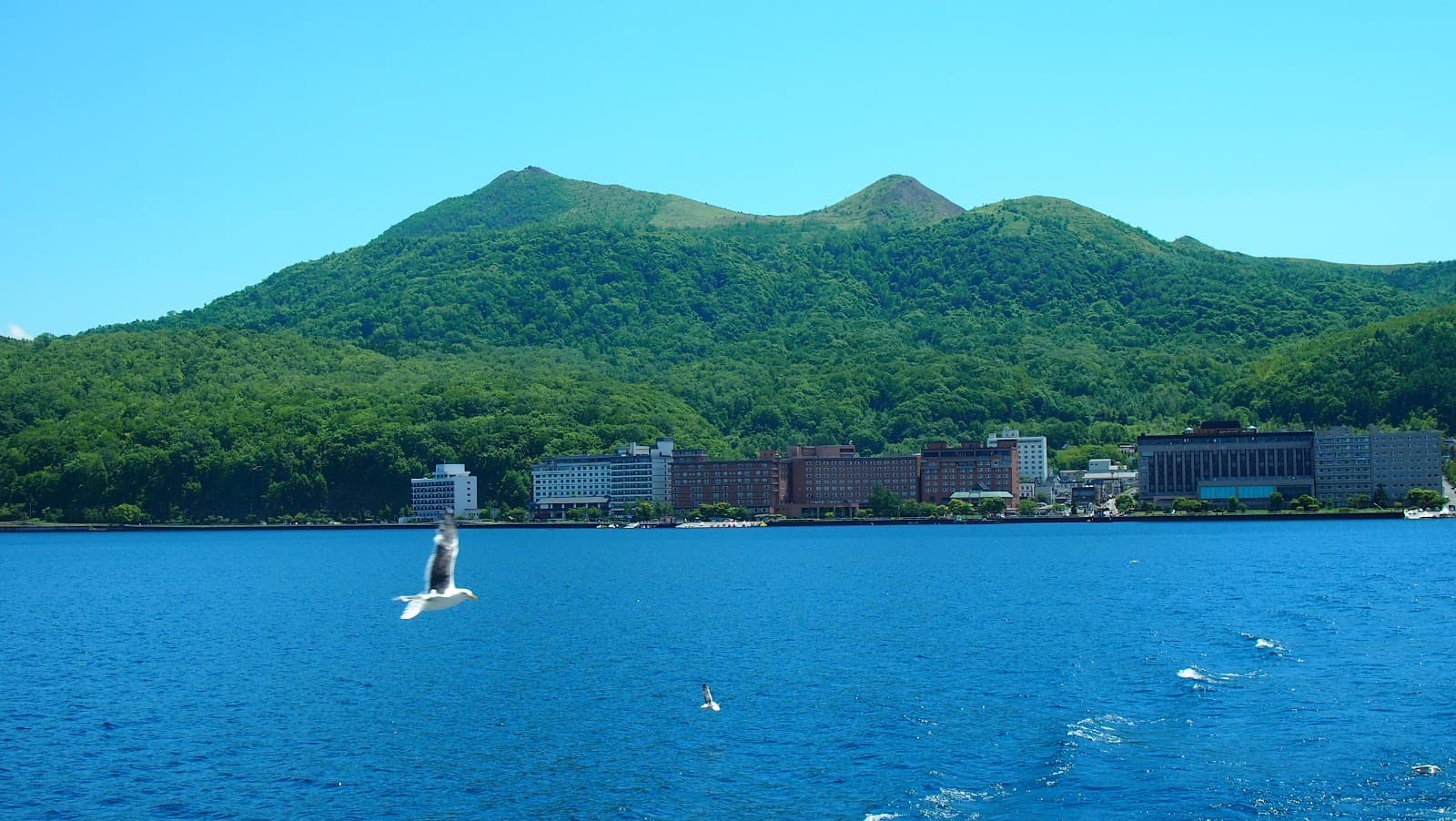 Hiking in Japan for Non-Hikers: Where to Start Your Journey