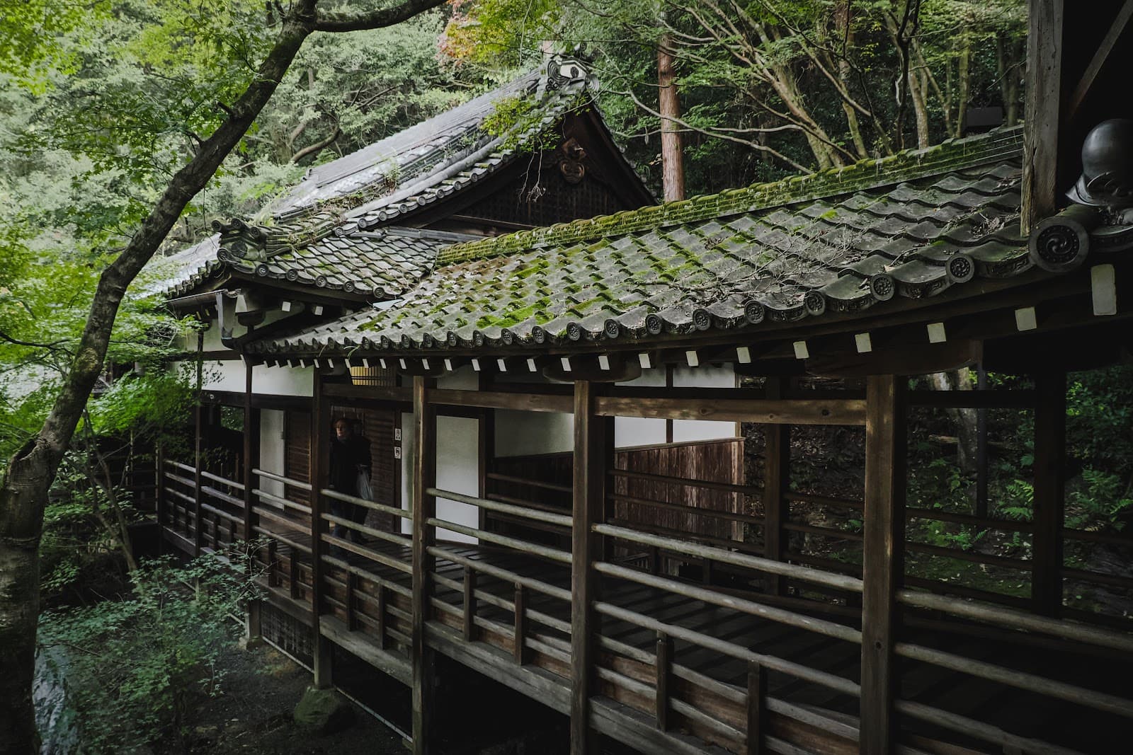 First Time vs Returning Visitor: What to Do Differently in Japan