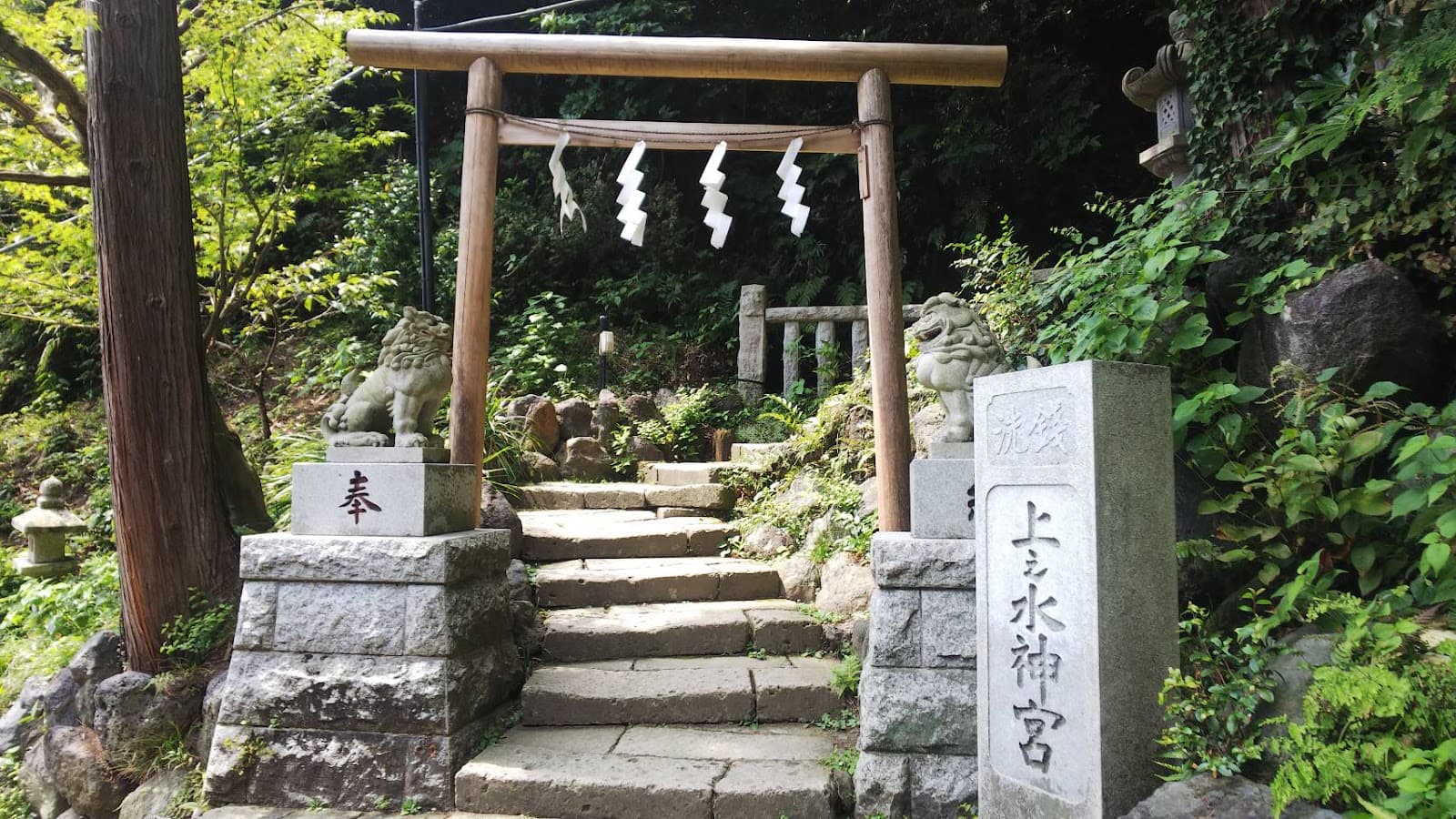 Fushimi Inari: How to Visit the Torii Trail Properly