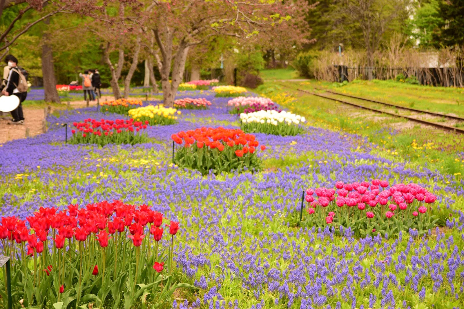 How Long Do You Need in Japan? A First-Trip Planning Guide