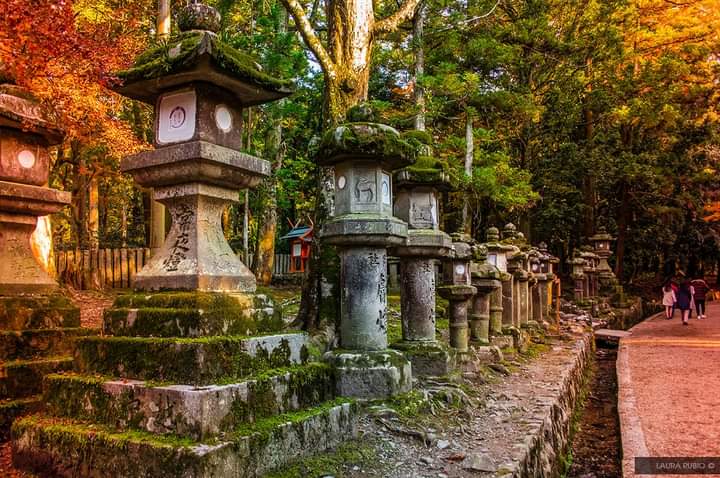 Japan on a Budget: What's Actually Possible (Real Numbers, Real Tips)