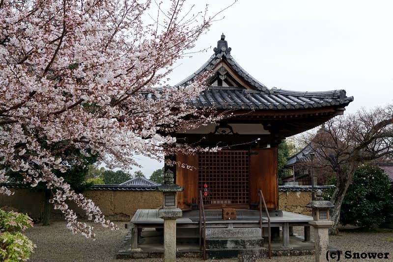 Essential Documents Every Japan Traveller Should Carry
