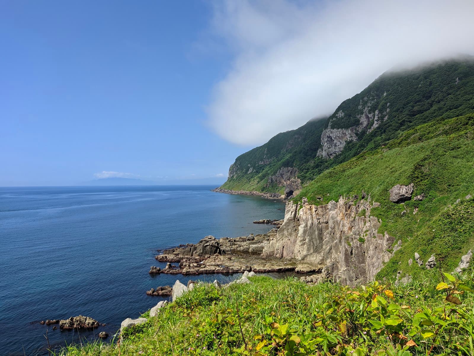 Wildlife in Japan: Where to See Japanese Macaques, Deer and Cranes
