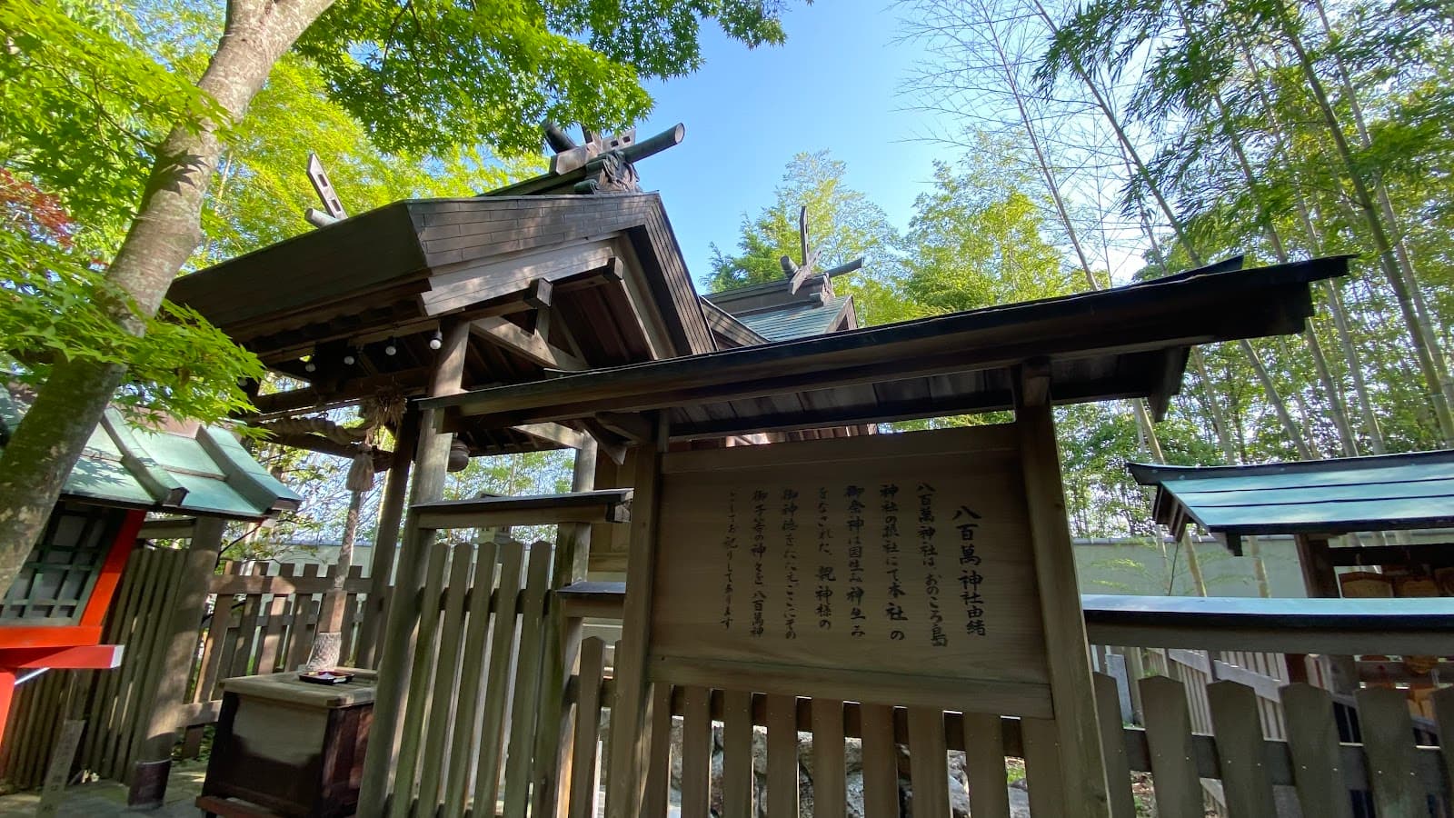 Beyond Naoshima: A Practical Guide to Shodoshima and Awaji Island