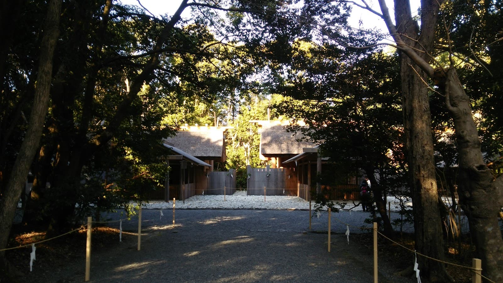 Miyajima: The Floating Torii Gate, the Island and What to Do