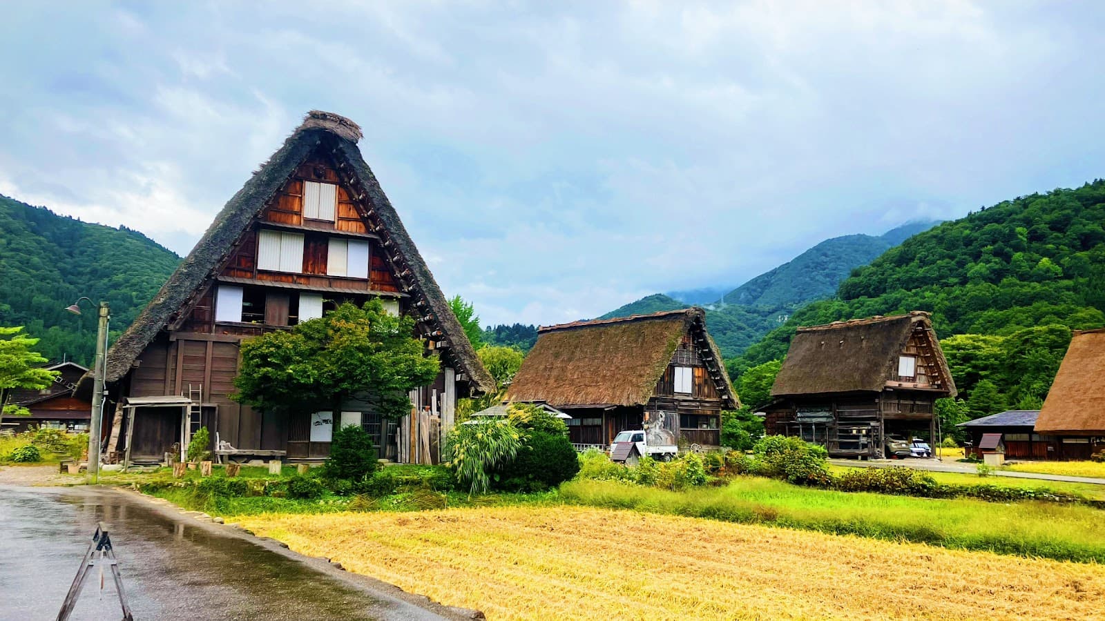 Emergency Japanese: Essential Phrases for When Things Go Wrong