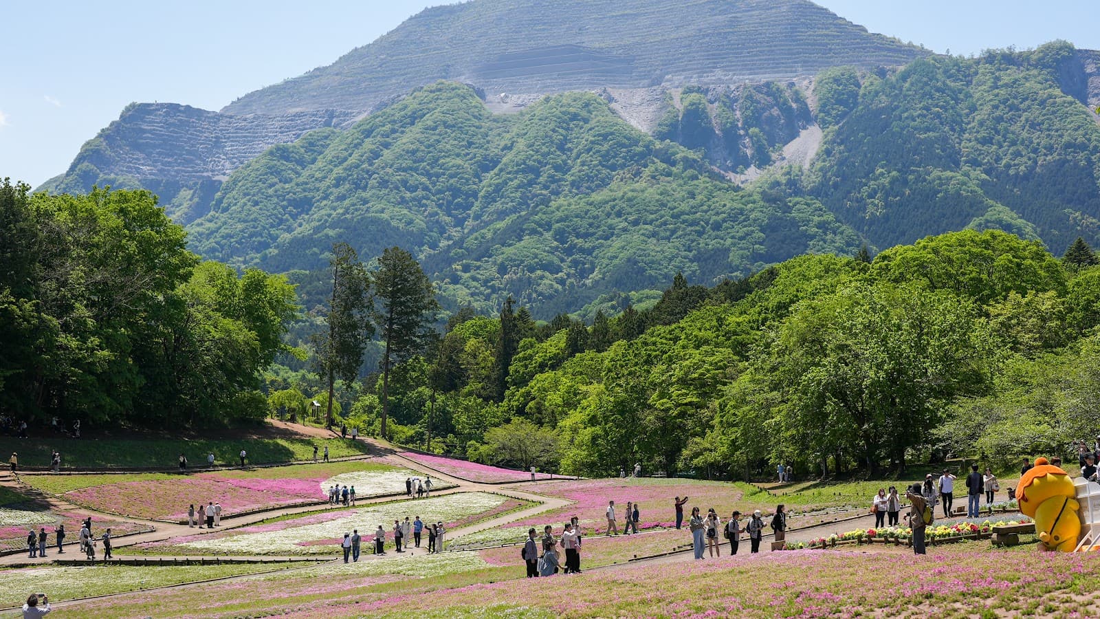Japan Immigration: What to Expect on Arrival (2026 Guide)