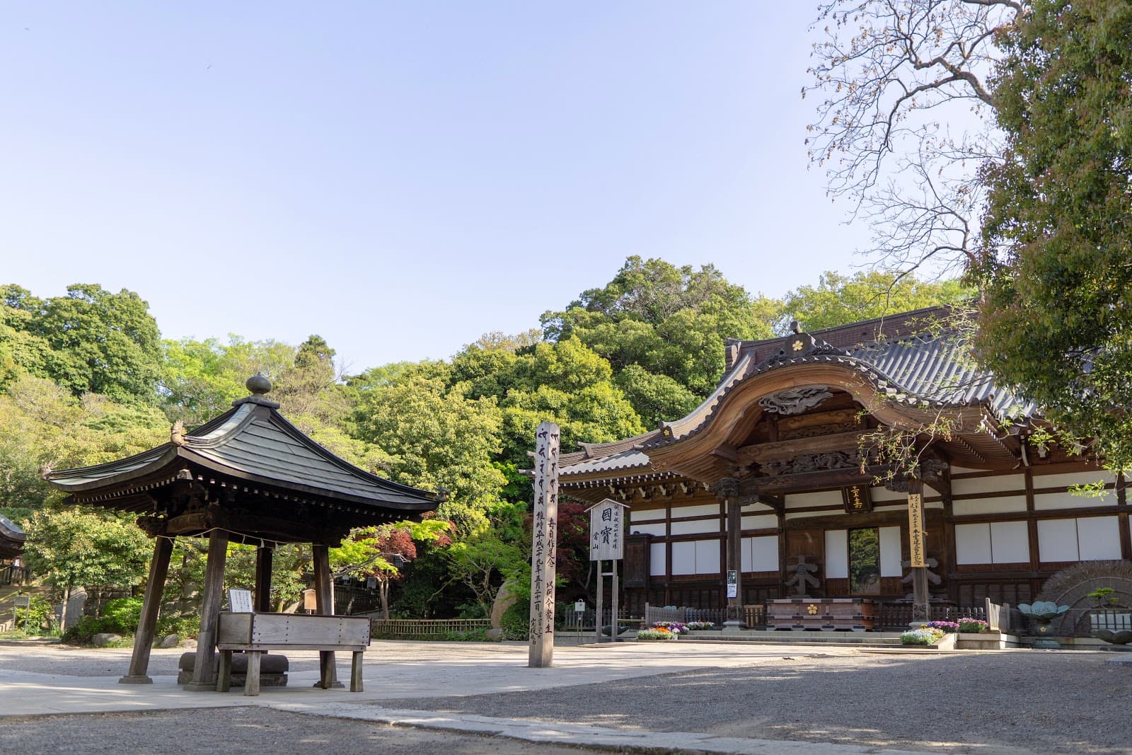 Must-Visit Japan for Pokémon Fans: Stores, Events and Exclusives