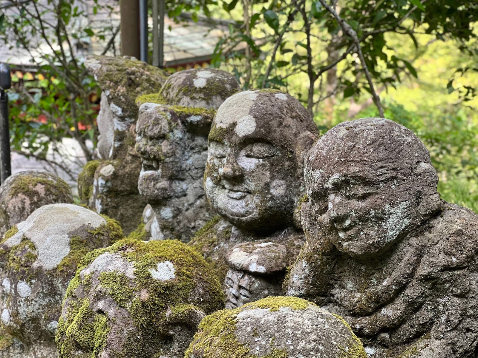 Glamping in Japan: Where to Find Luxury Camping and What to Expect
