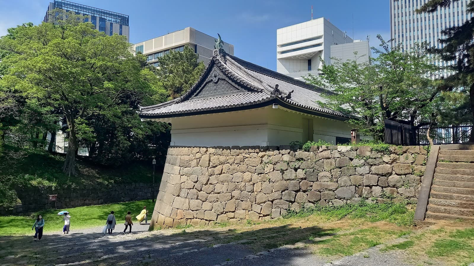 Forest Bathing in Japan: A Complete Guide to Shinrin-Yoku