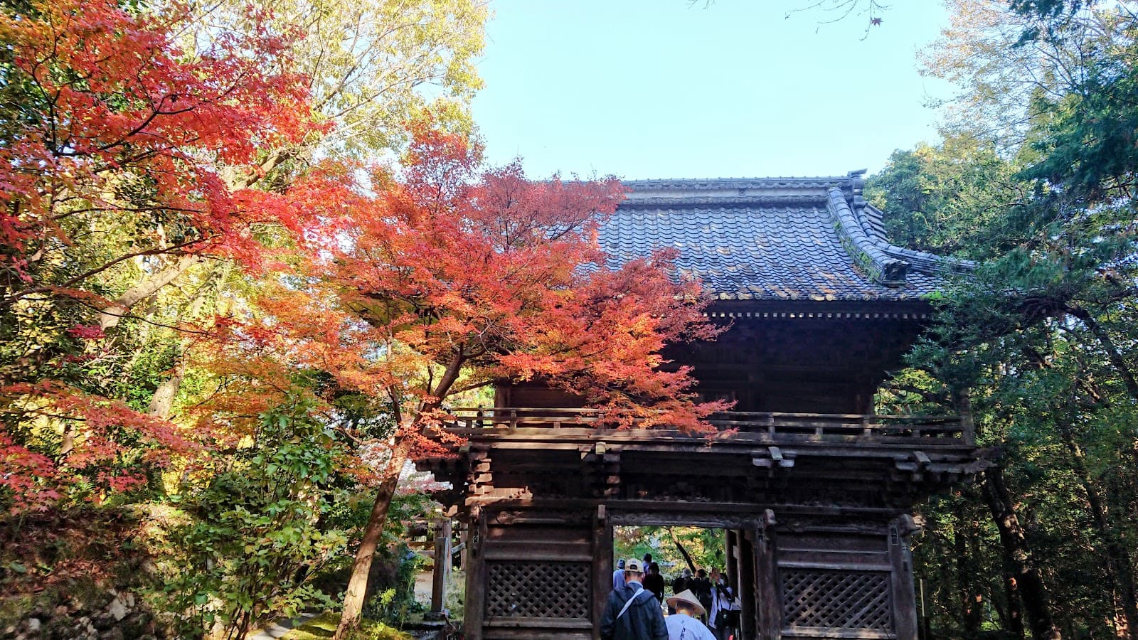 Walking Shoes for Japan: Why Your Footwear Matters More Than Most Trips