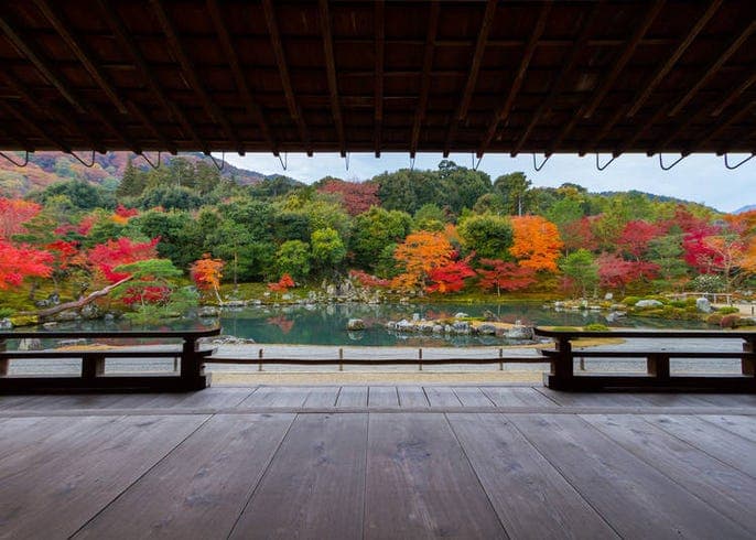 The Arashiyama Bamboo Grove: Managing Expectations and Timing Your Visit