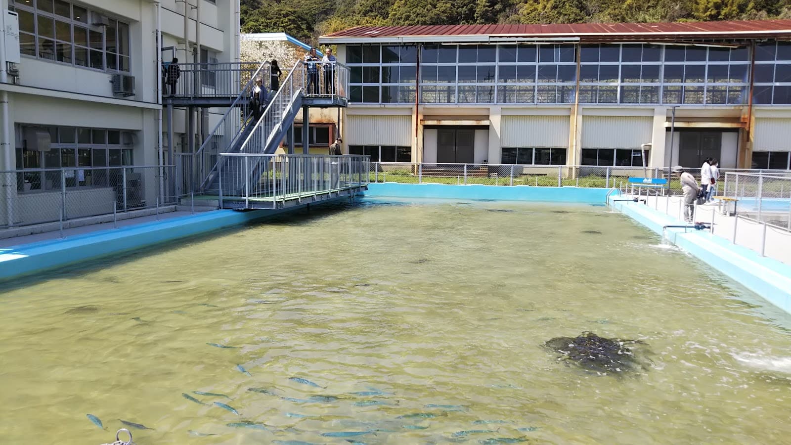 Onomichi and the Shimanami Kaido: Your Complete Day-Trip Guide from Hiroshima