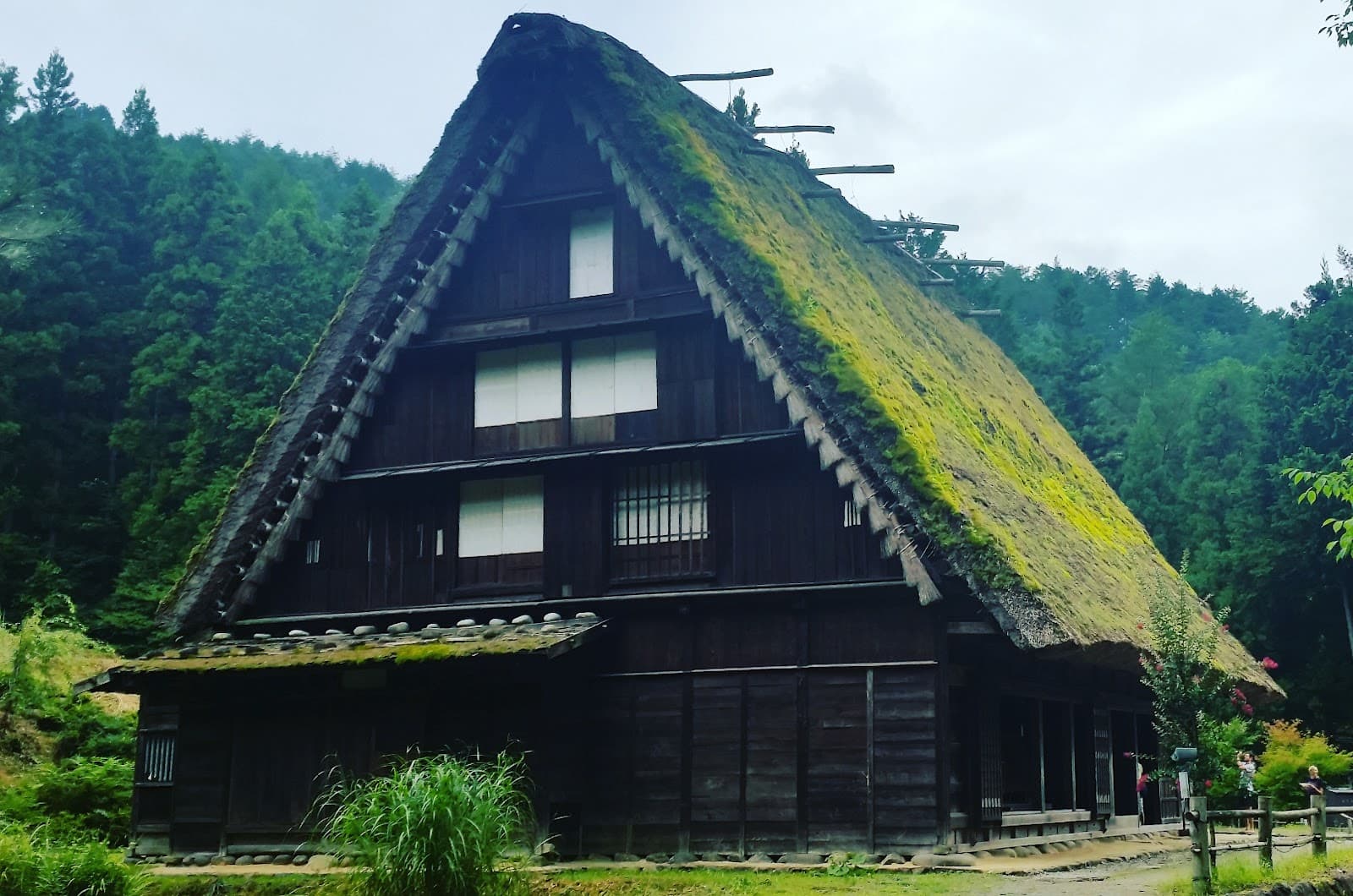 Mount Fuji from Below: Lakes, Trails and Views Without Climbing