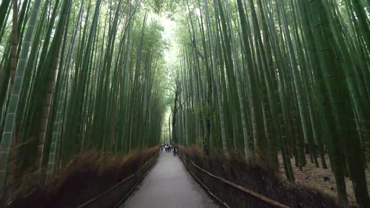 How to Plan a Japan Trip from the UK: The Complete Step-by-Step Guide