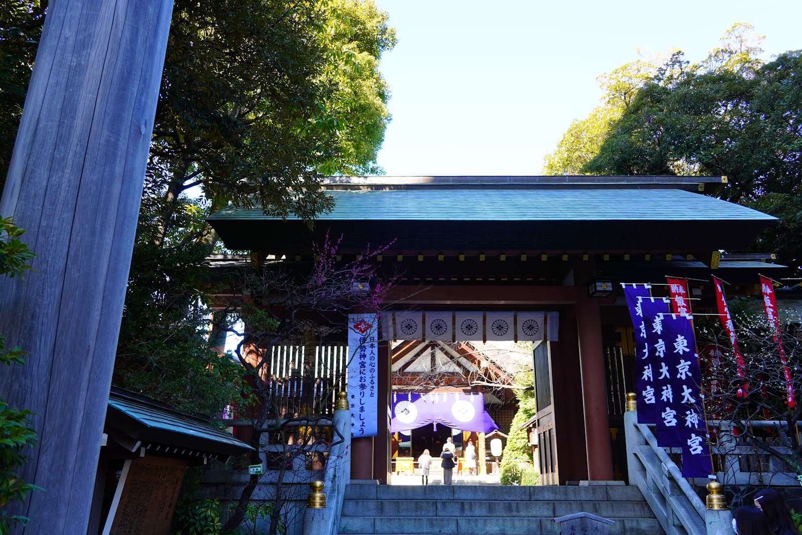 Manga Cafés in Japan: What They Are and When to Use One