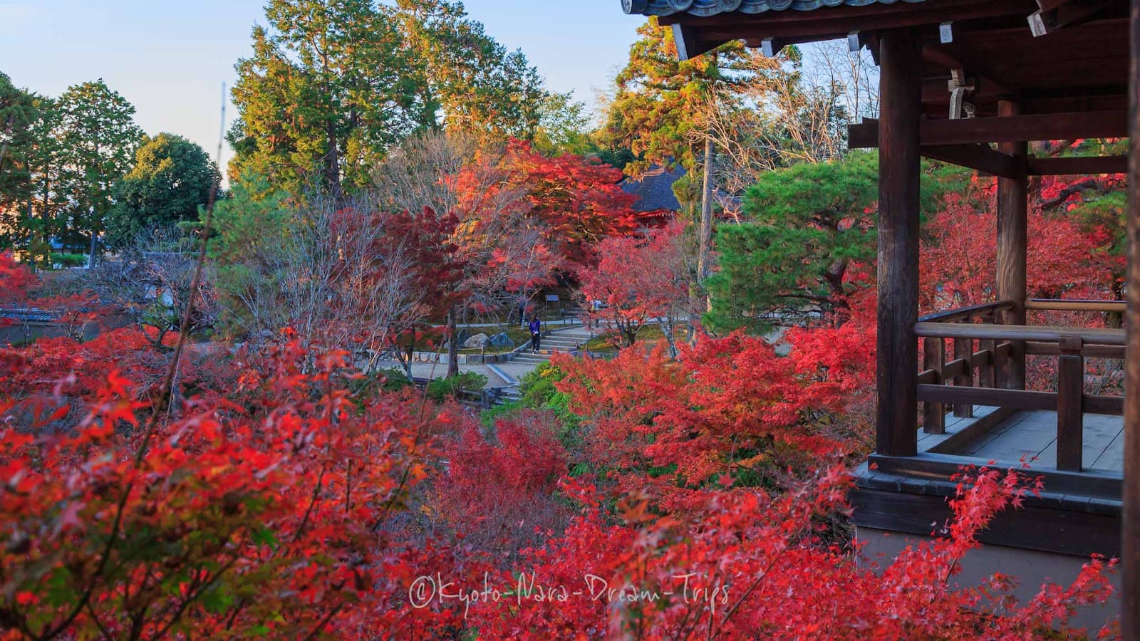 Should I Visit Japan in Spring, Summer, Autumn or Winter?