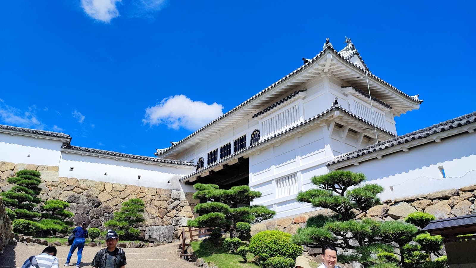 Children's Japan Visa and Entry Requirements: Everything Parents Need to Know
