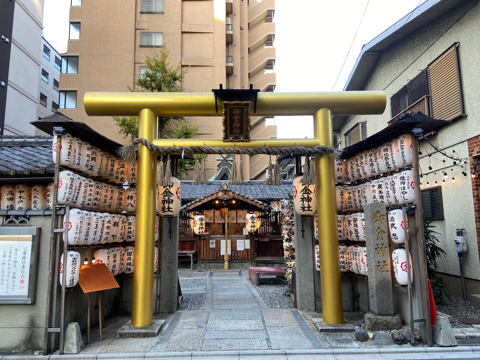 What to Eat in Okinawa: Island Cuisine That Stands Apart