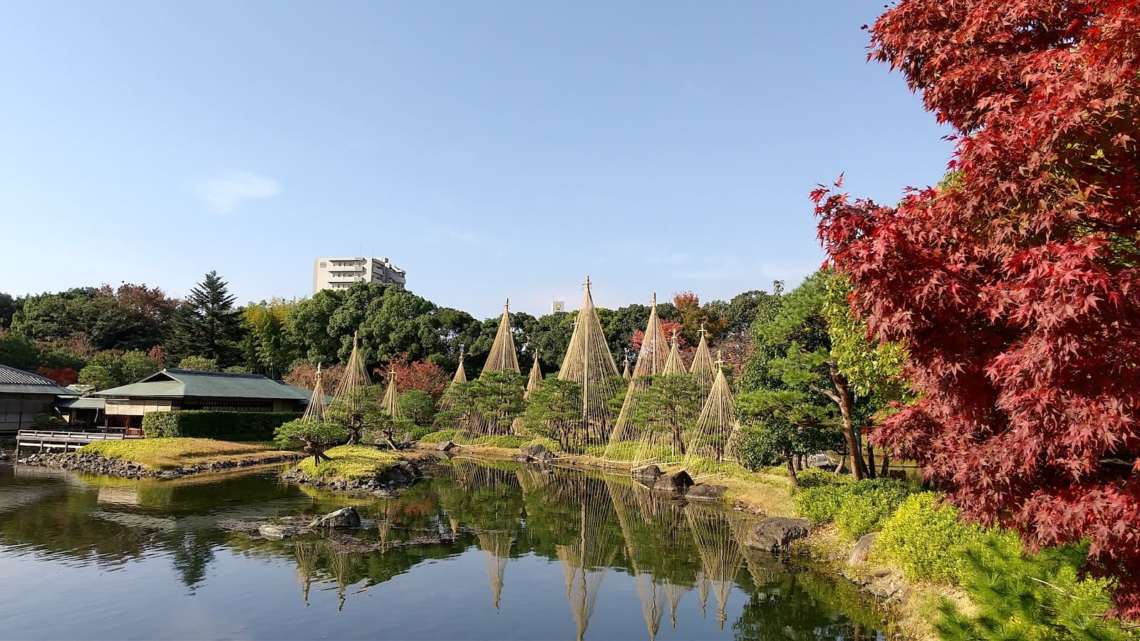 Japan to Raise Visa Fees for the First Time in 48 Years