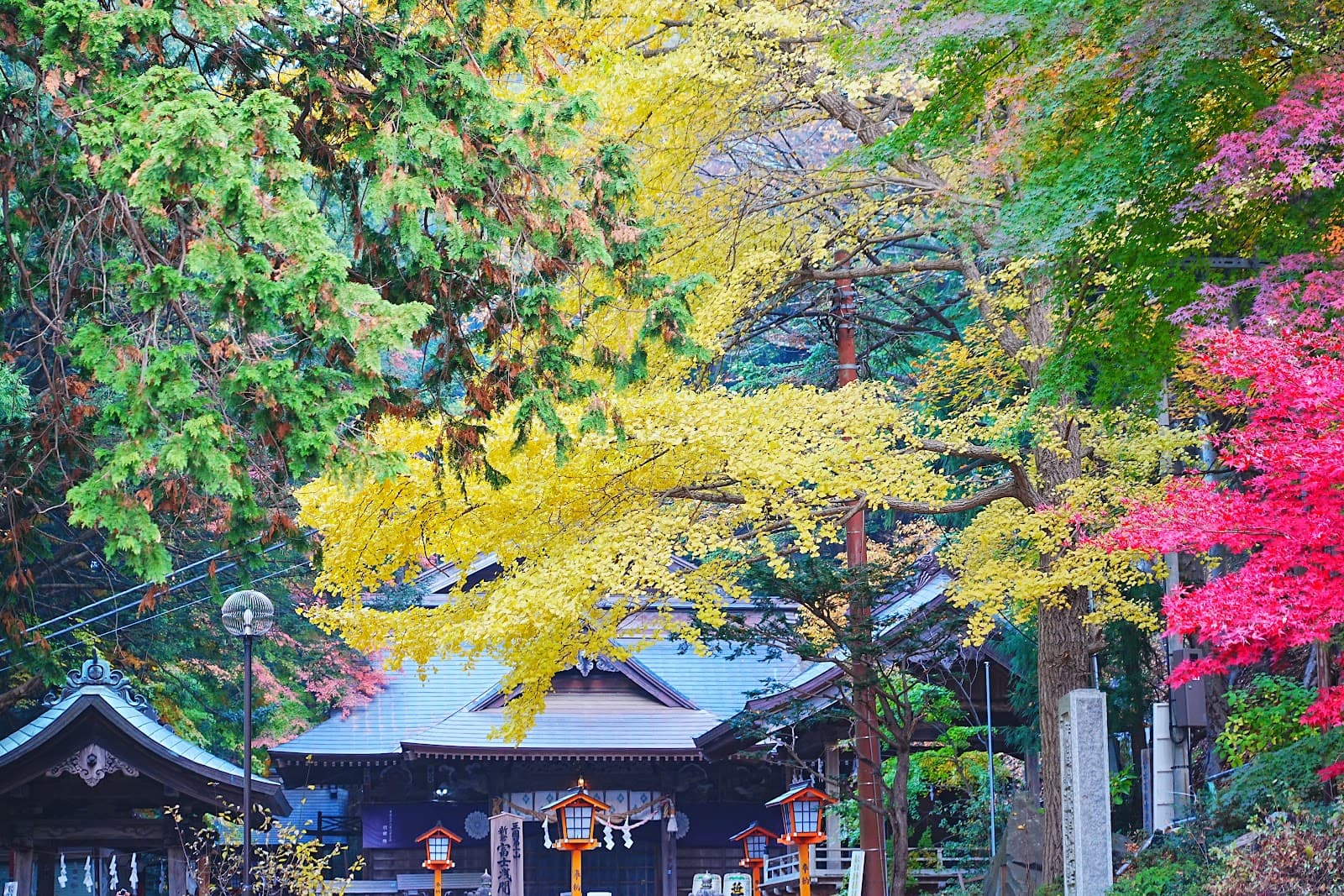 Food Allergies in Japan: What You Can (and Can't) Realistically Manage