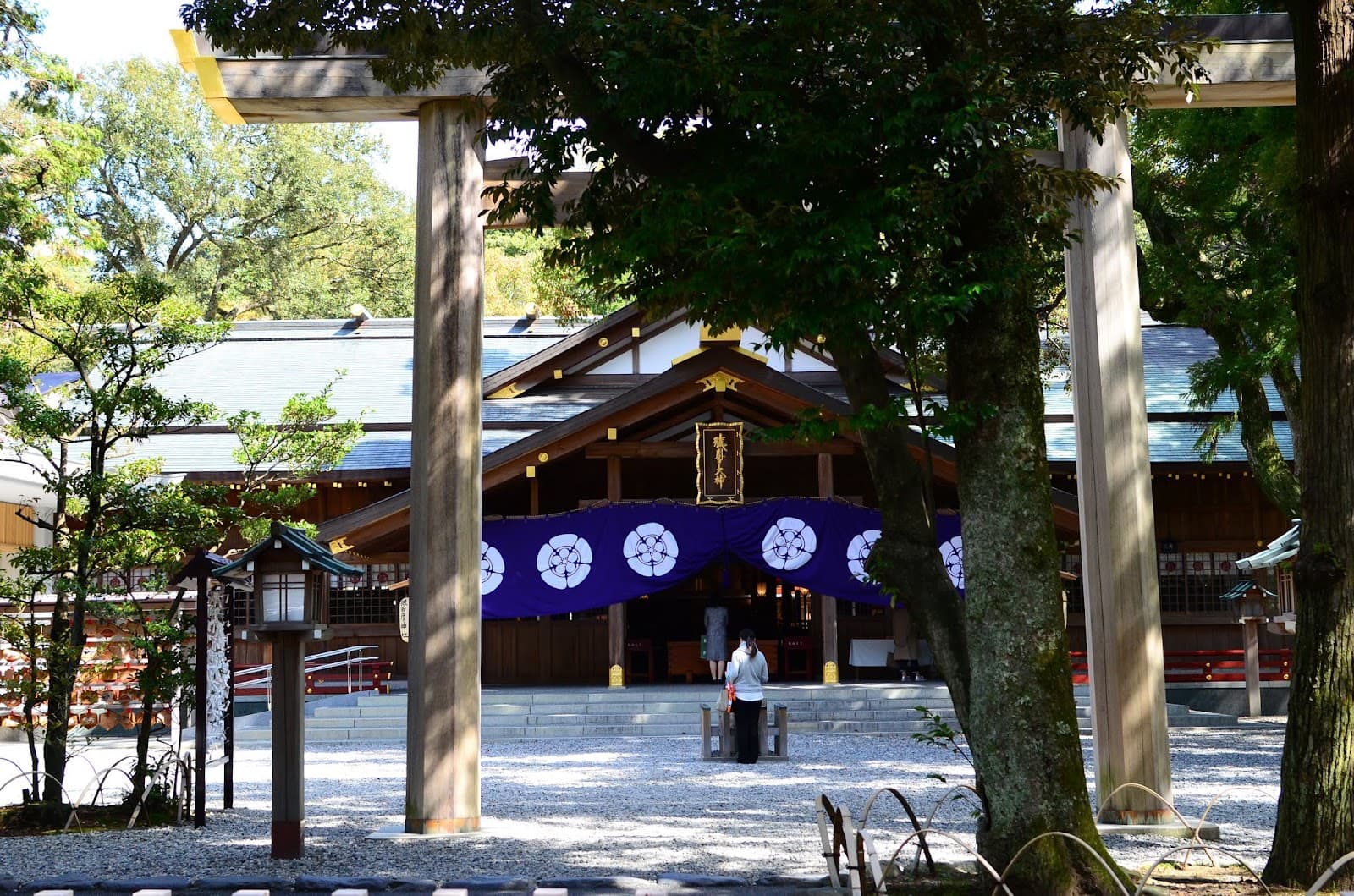 Must-Visit Japan for Dragon Ball Fans: Locations and Merchandise Guide