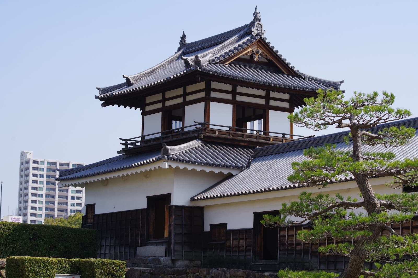 How to Navigate Miyajima: Ferries, Walking Routes, and Island Tips
