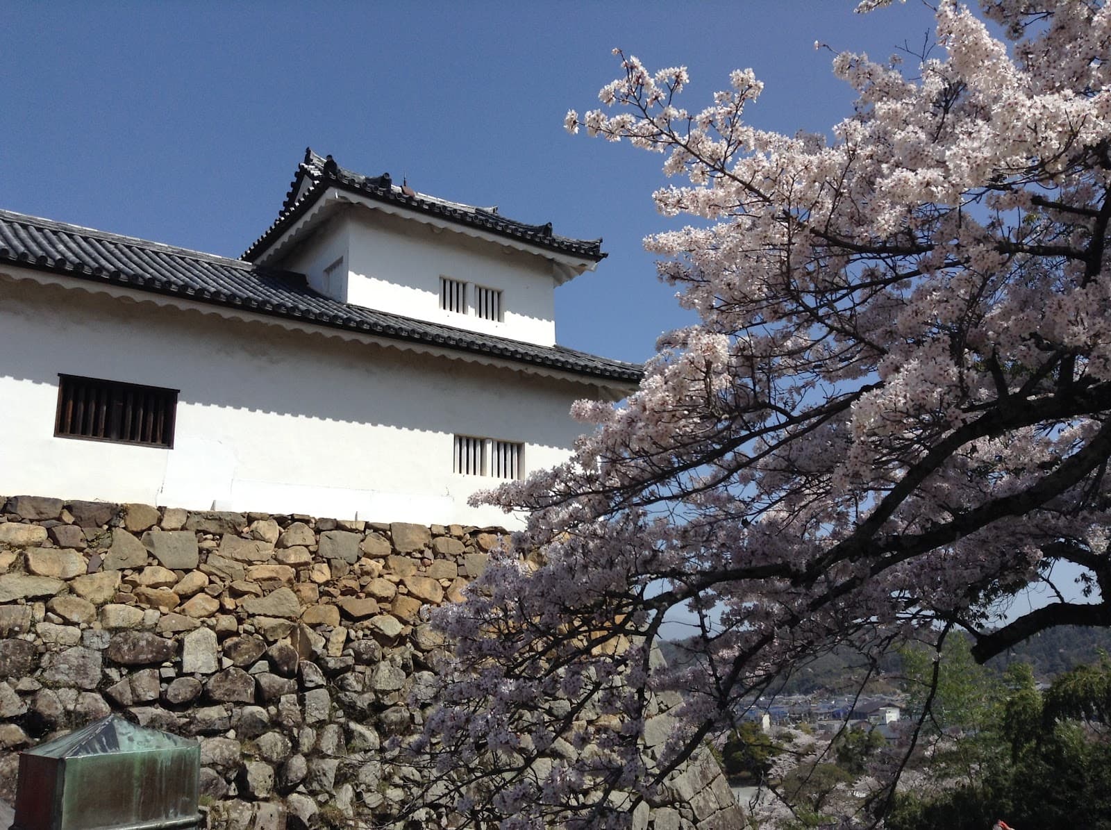 Do I Need Cash in Japan? A 2026 Guide to Payments