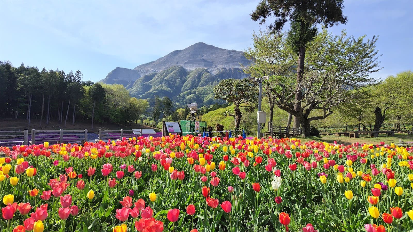 Reading Train Station Signs in Japan: A Complete Guide for First-Time Visitors
