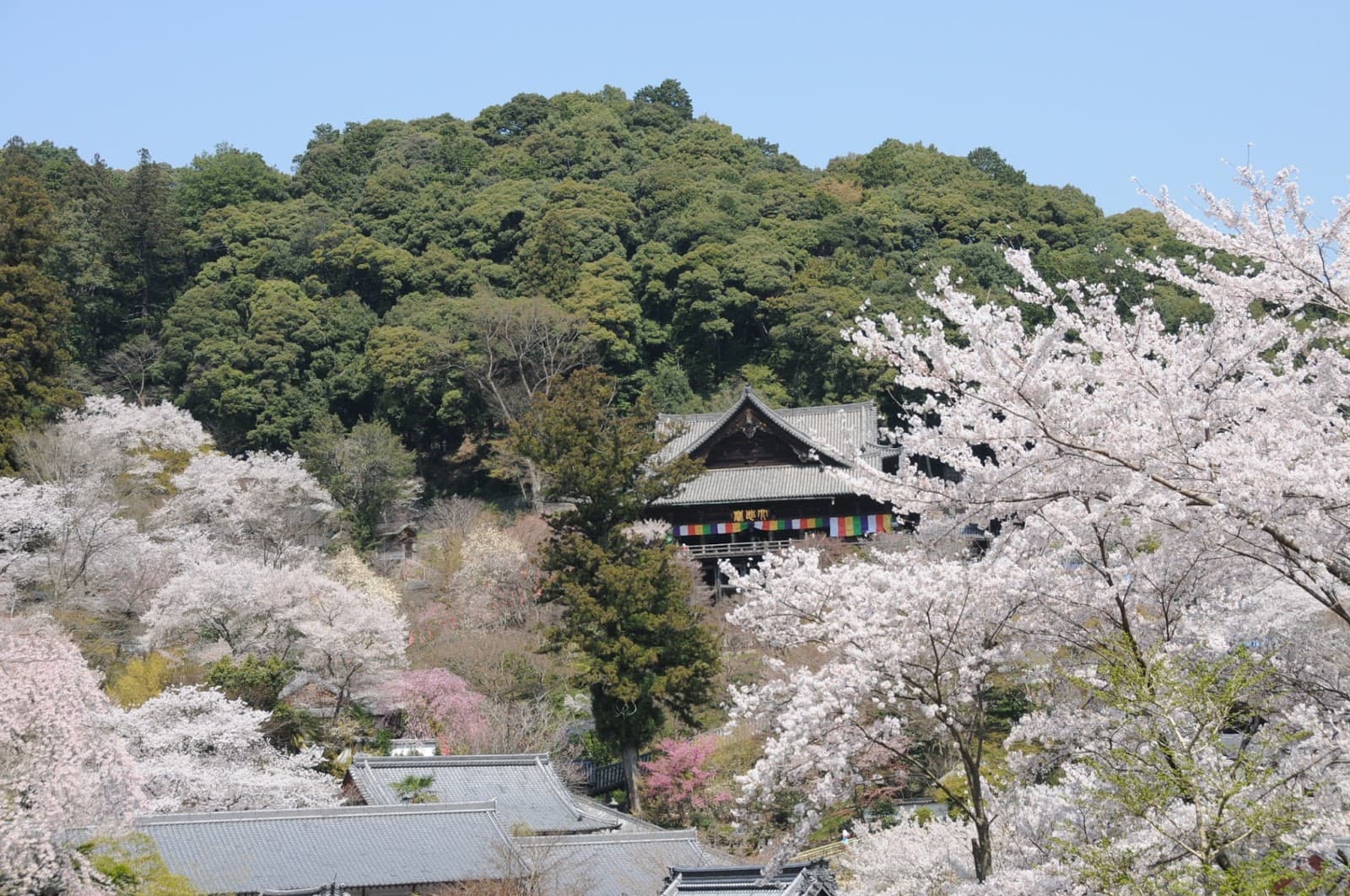 Eating Alone in Japan: Why Solo Dining Is Normal and How to Do It