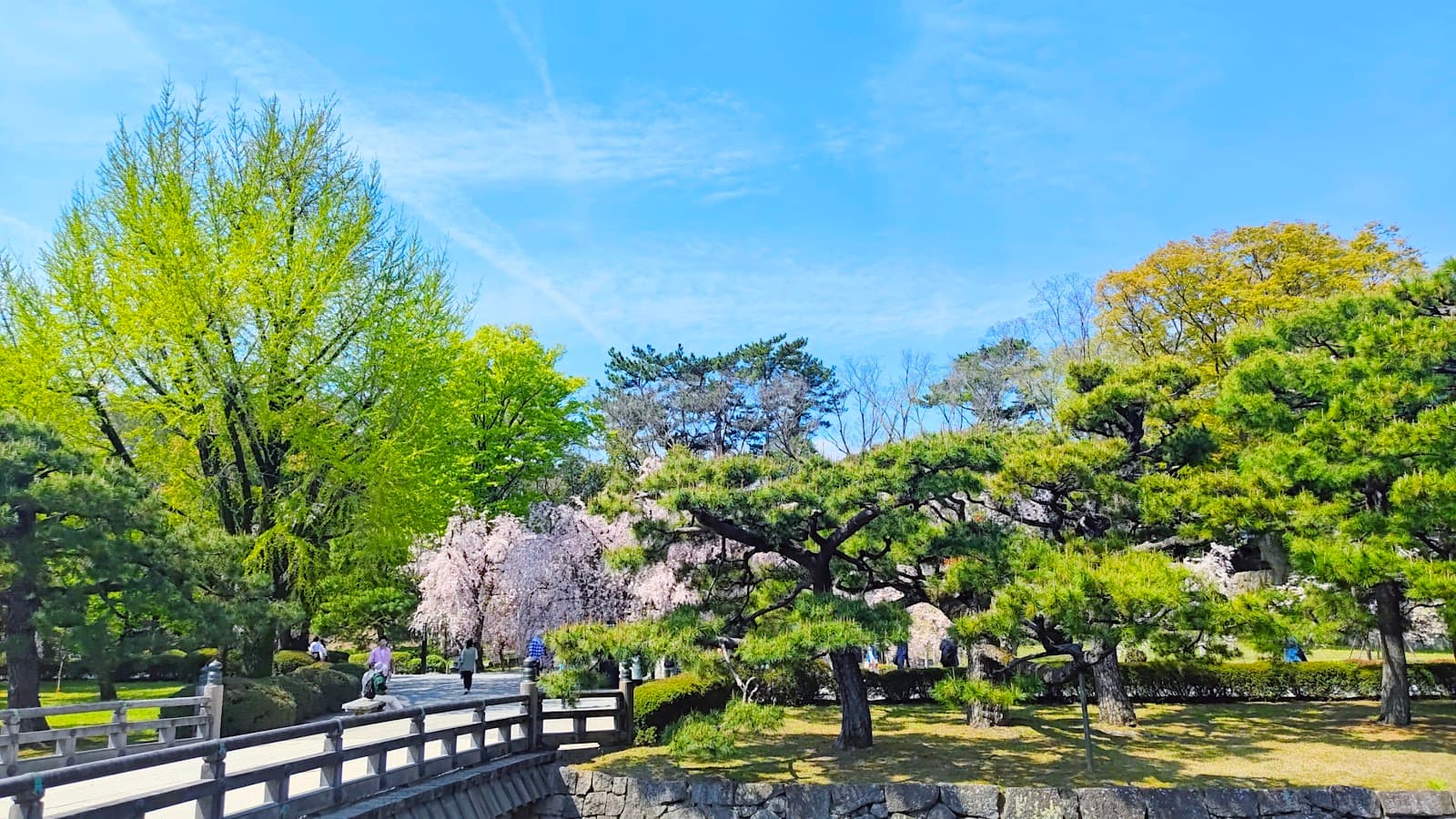 Nijo Castle in Kyoto: The Shogun's Kyoto Residence Explained