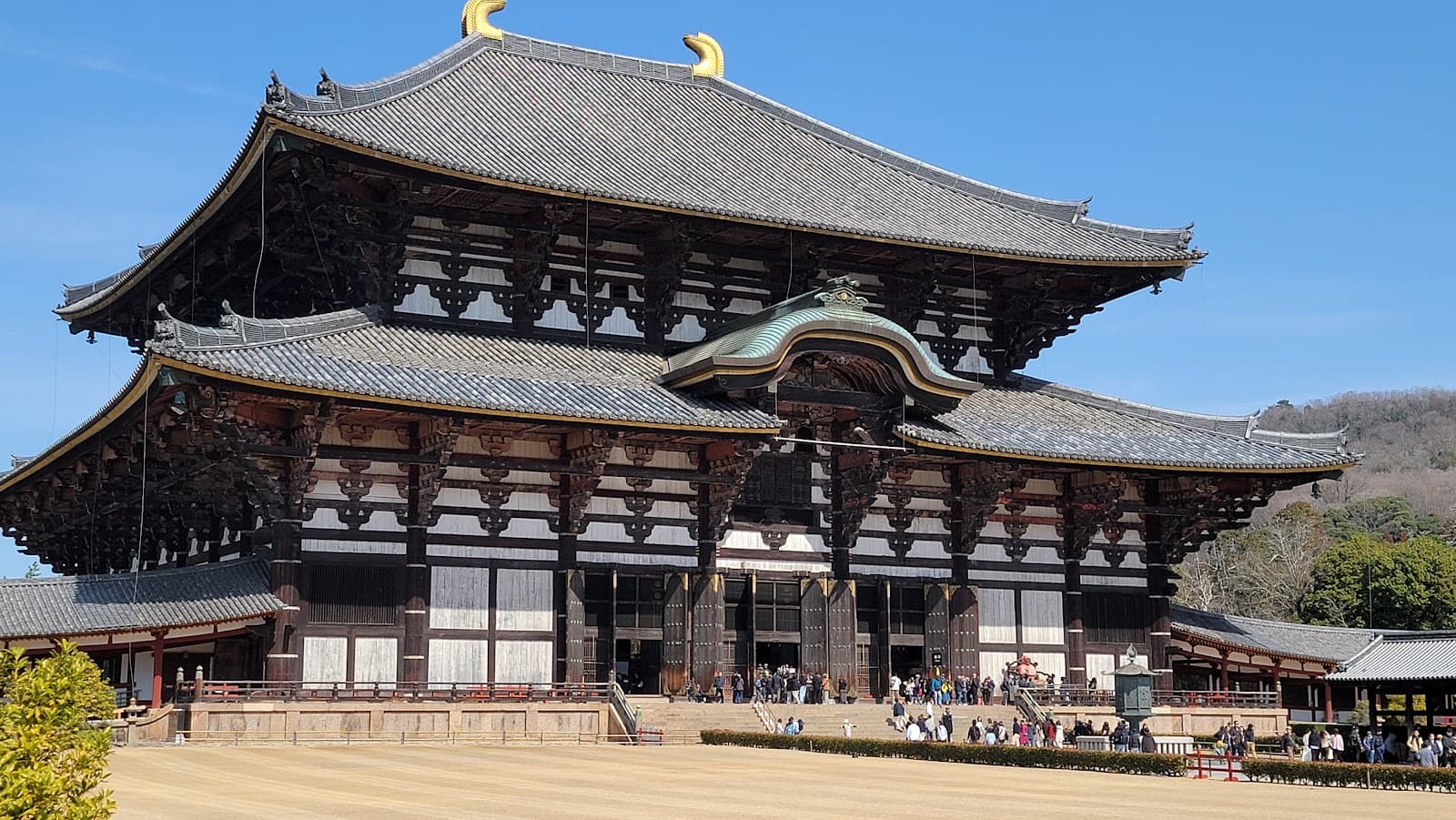 Kyoto to Nara: Transport Options and What to Expect