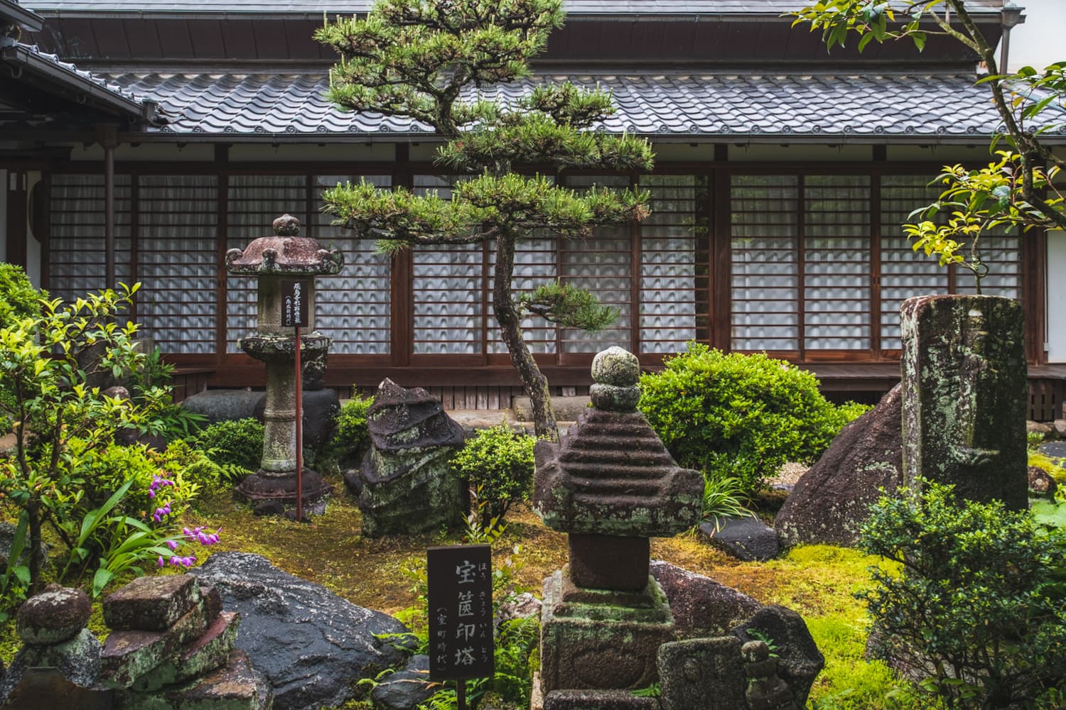 Coin Laundry in Japan: How It Works and What to Bring