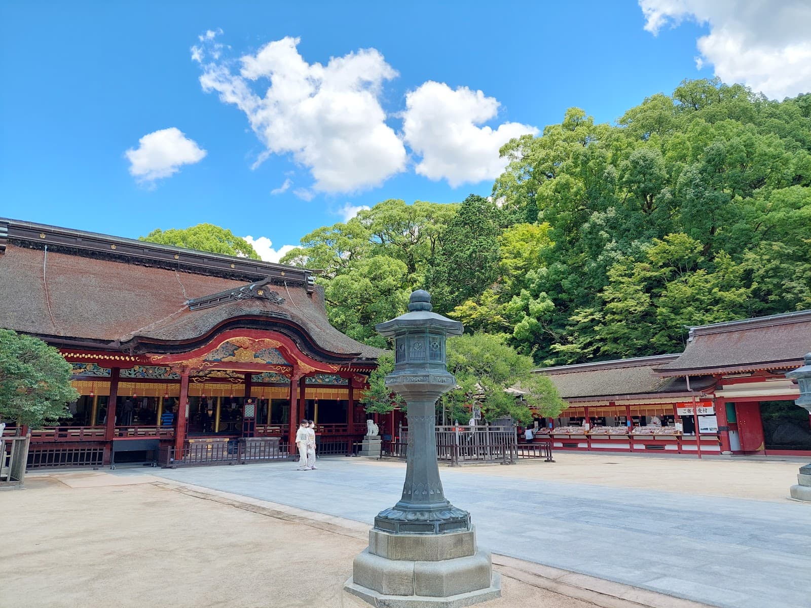 Travel Insurance for Japan: What to Look For