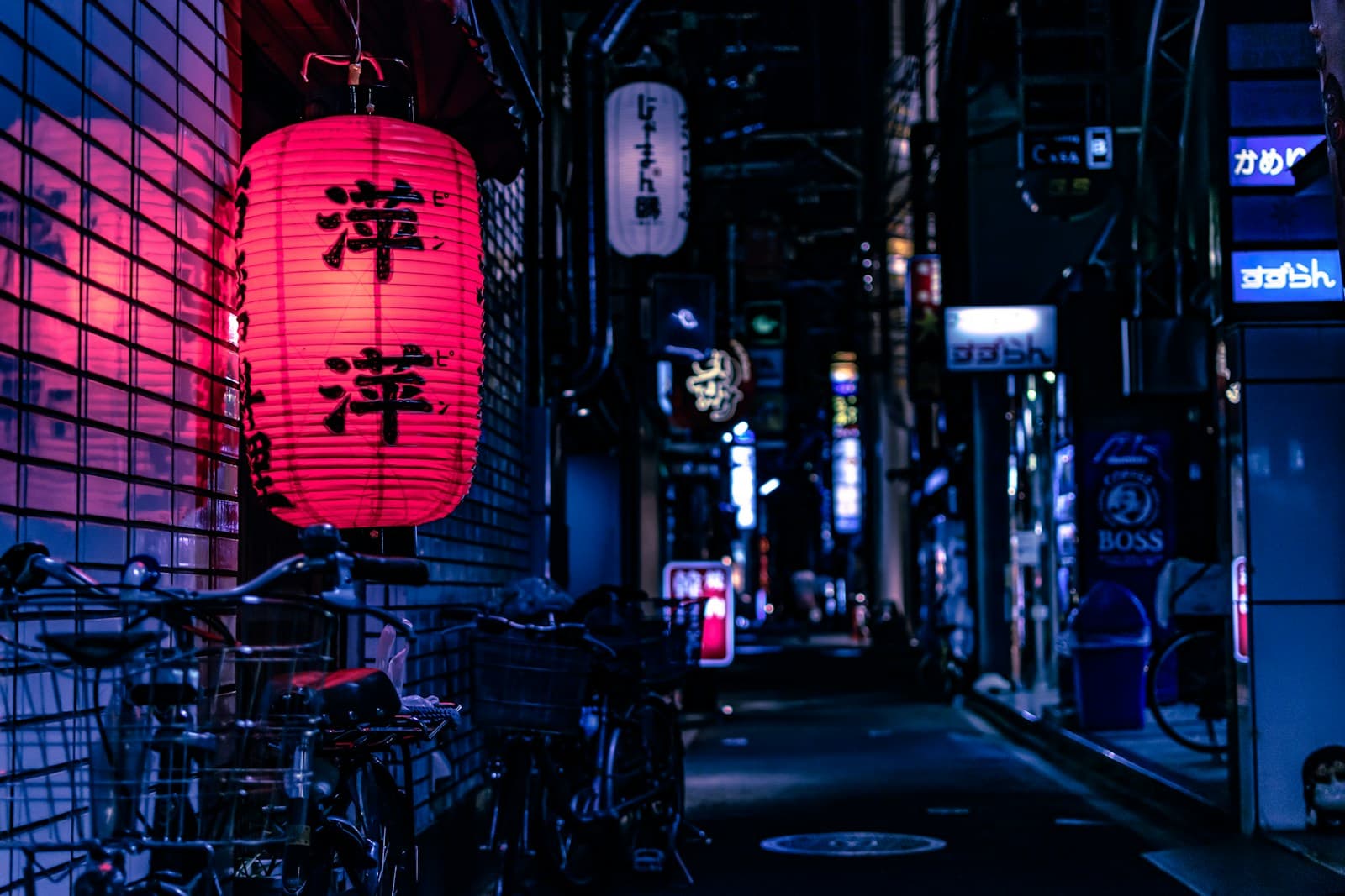 Kyoto street with cherry blossoms
